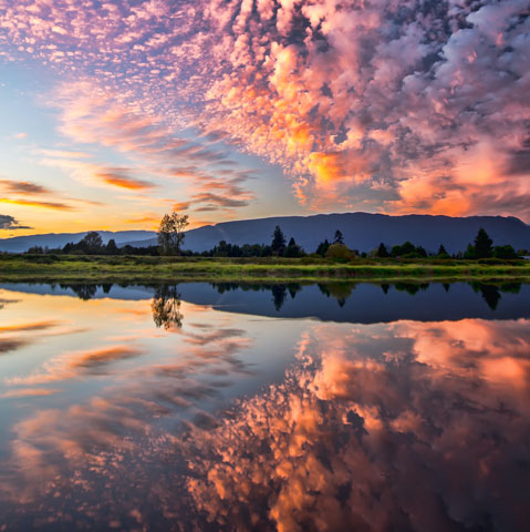 Soul Space - A Time for Reflection and Gratitude - photo 01