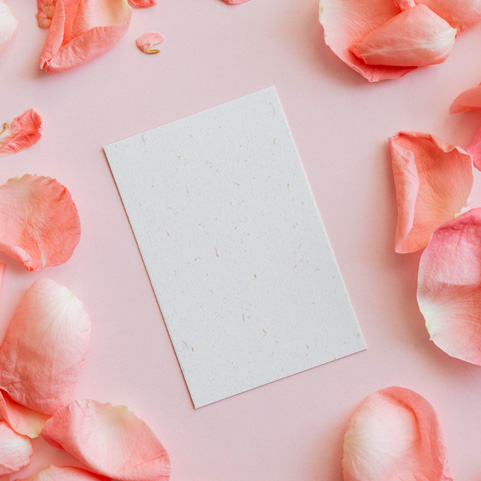 Soul Space - Essential Oils for home use - photo 05