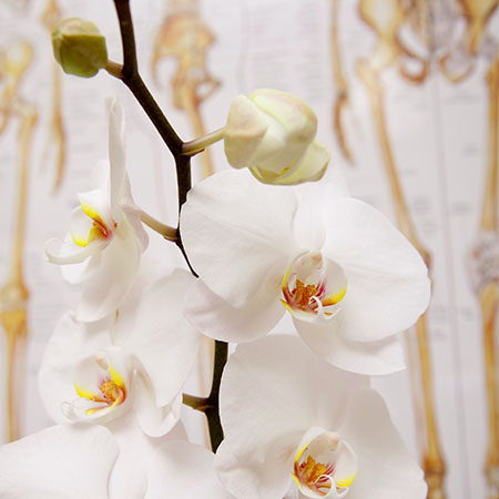 Soul Space - Therapy Events - image 01