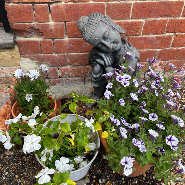 Soul Space - A Peaceful Retreat - photo 04