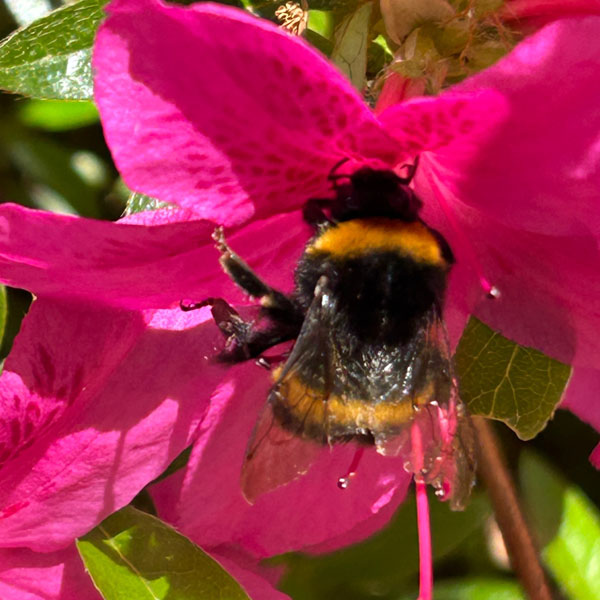 Soul Space - Boosting our Vitamin D to support our Mental Health - photo 01