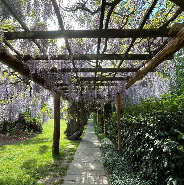 Soul Space - Boosting our Vitamin D to support our Mental Health - photo 03