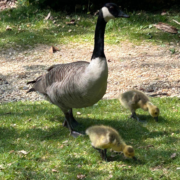 Soul Space - Boosting our Vitamin D to support our Mental Health - photo 05