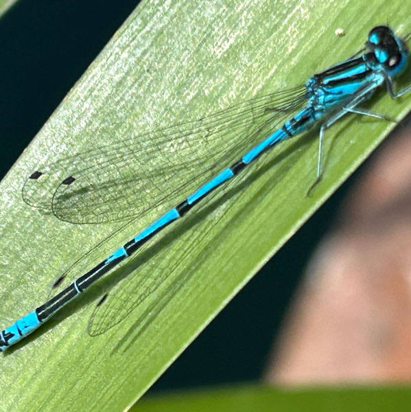 Soul Space - Boosting our Vitamin D to support our Mental Health - photo 06