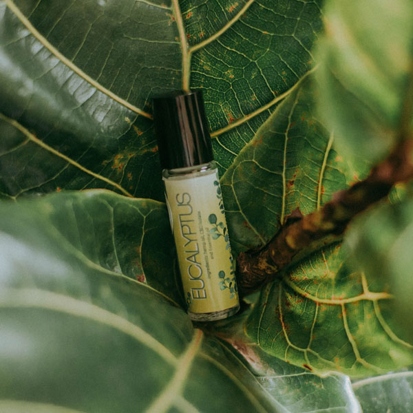 Soul Space - Christmas Aromas and Anti-Virals! - photo 07