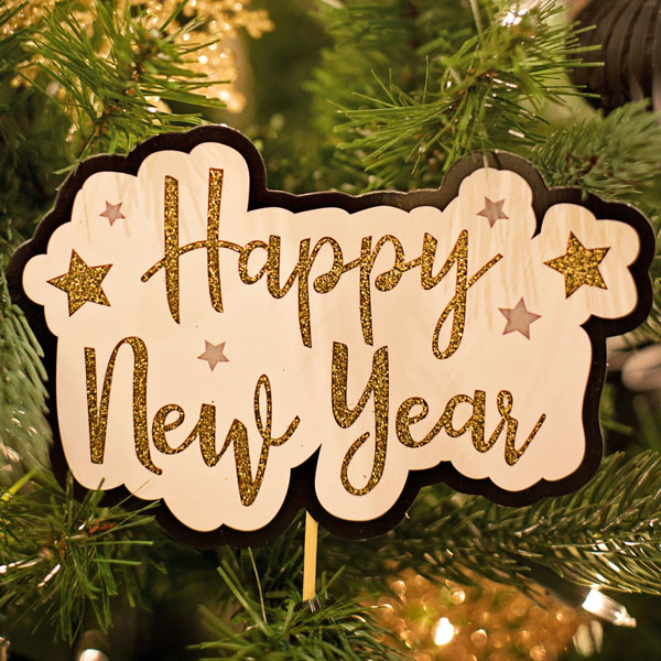 Soul Space - Christmas Aromas and Anti-Virals! - photo 10