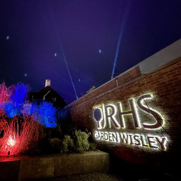 Soul Space - Christmas is upon us again... - photo 02