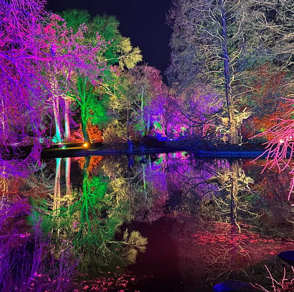 Soul Space - Christmas is upon us again... - photo 03