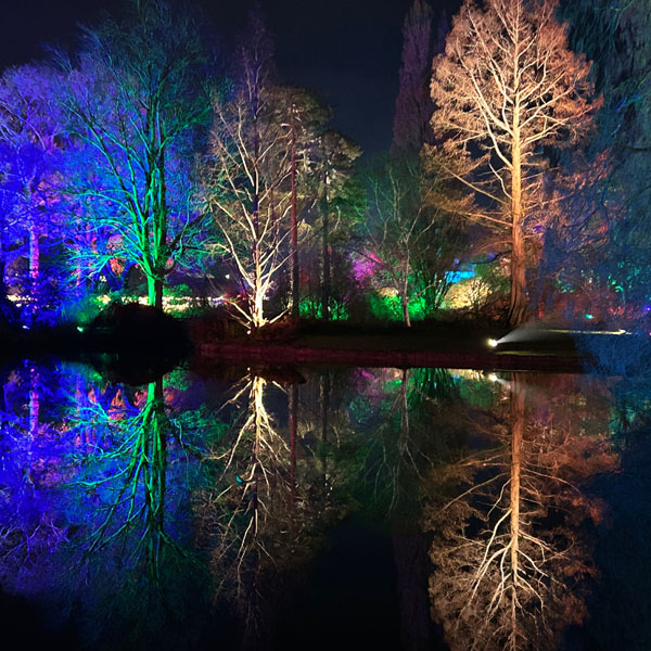 Soul Space - Christmas is upon us again... - photo 04