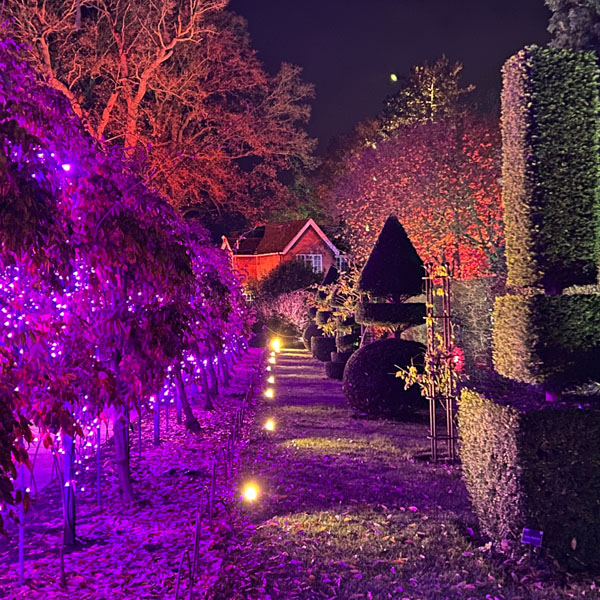 Soul Space - Christmas is upon us again... - photo 06