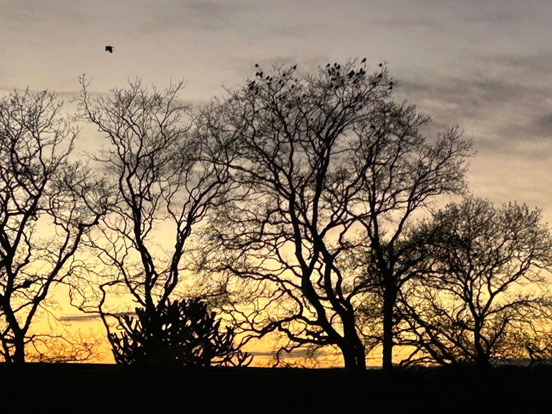 Soul Space - Christmas is upon us again... - photo 12