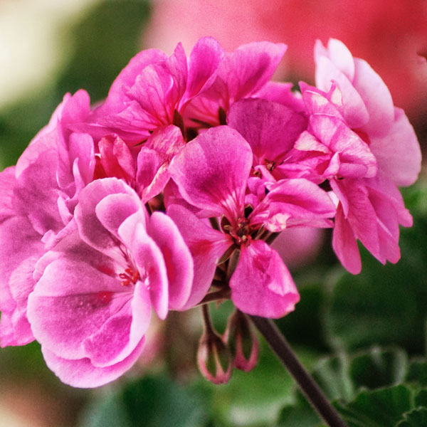 Soul Space - Stepping Gently into 2023 with Donna Ashworth - photo 03