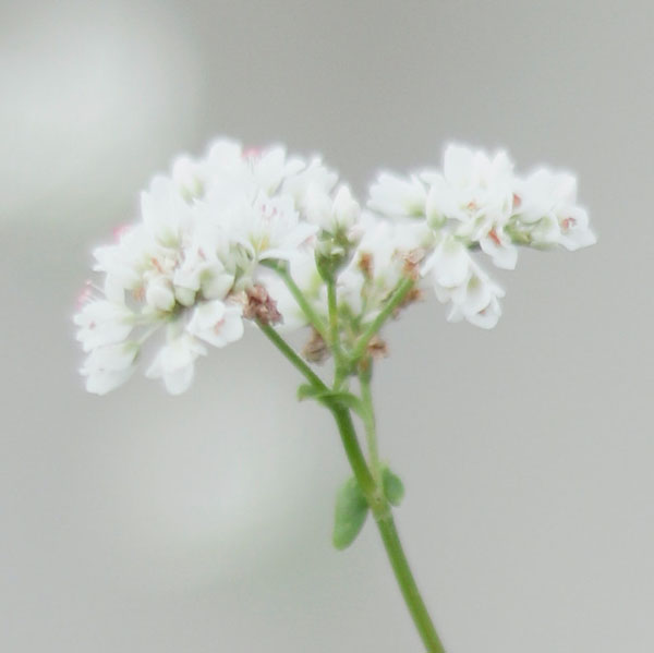 Soul Space - Stepping Gently into 2023 with Donna Ashworth - photo 09