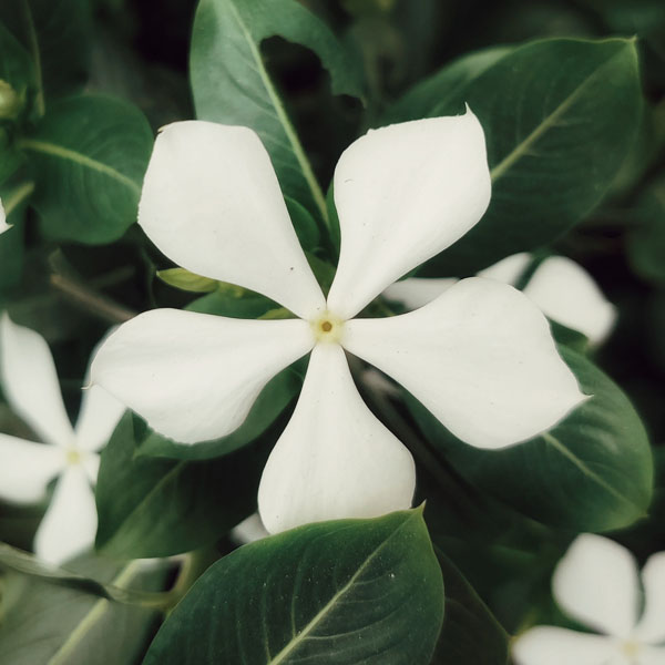 Soul Space - Stepping Gently into 2023 with Donna Ashworth - photo 11