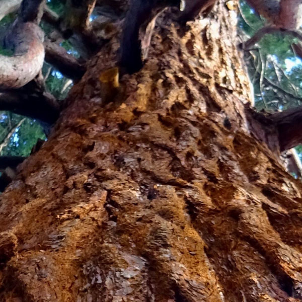 Soul Space - Stepping Gently into 2023 with Donna Ashworth - photo 15