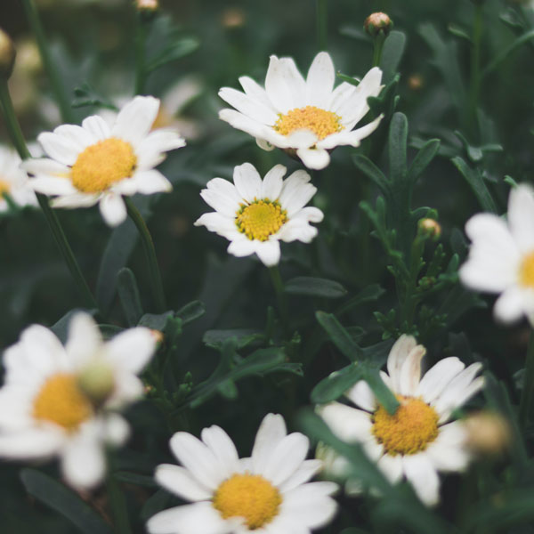 Soul Space - Coping with Bereavement - photo 11