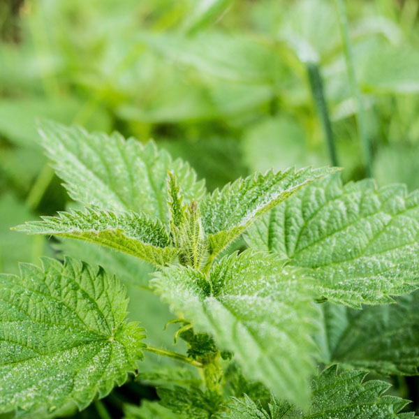 Soul Space - Coping with Bereavement - photo 14