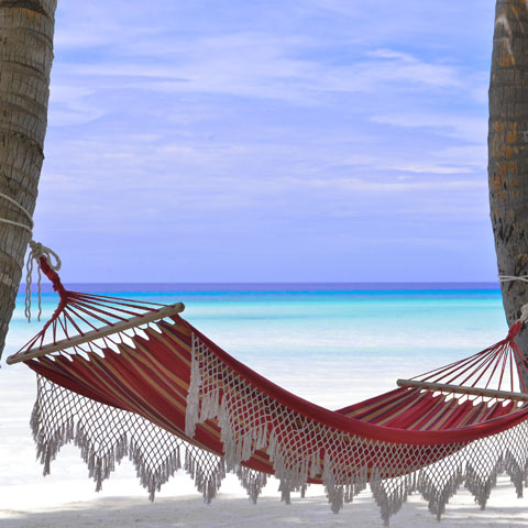 Soul Space - Essential Oils and Summer Travel - photo 01