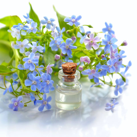 Soul Space - Essential Oils and Summer Travel - photo 02