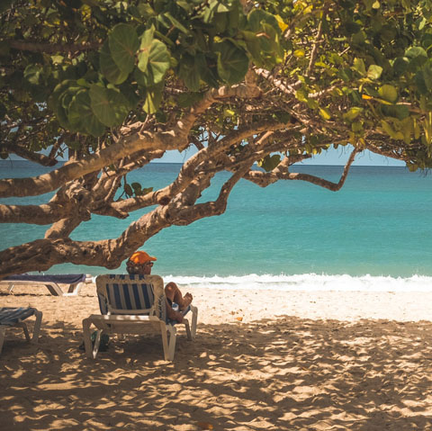 Soul Space - Essential Oils and Summer Travel - photo 07