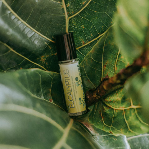 Soul Space - Essential Oils and Summer Travel - photo 10