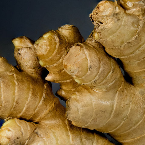 Soul Space - Essential Oils and Summer Travel - photo 14