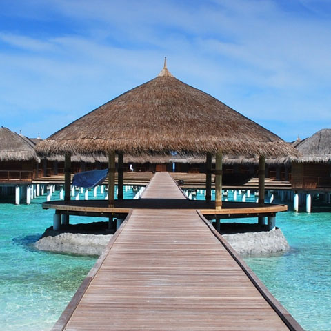 Soul Space - Essential Oils and Summer Travel - photo 19