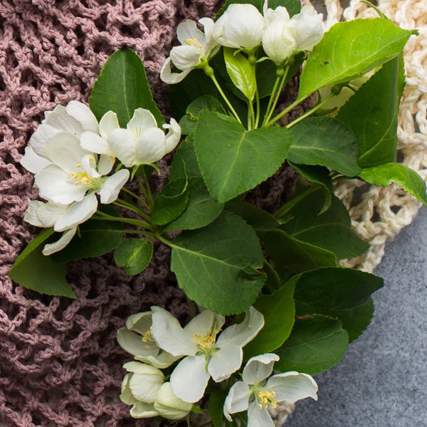 Soul Space - Essential Oils for Soothing and Grounding the Soul - photo 06