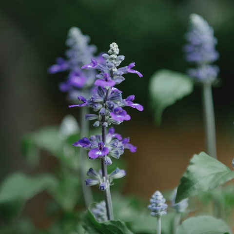 Soul Space - Keeping our Hormones Happy - photo 04