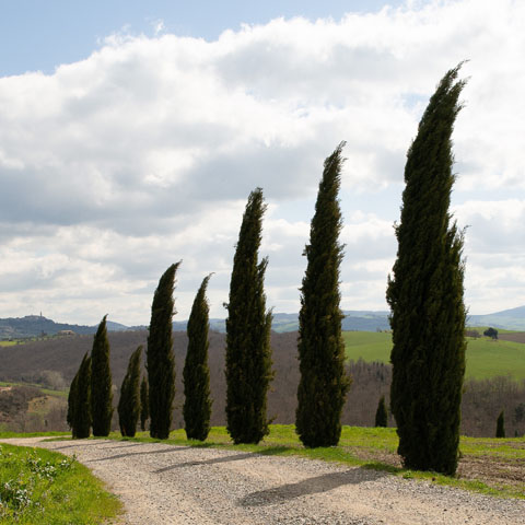 Soul Space - Keeping our Hormones Happy - photo 05