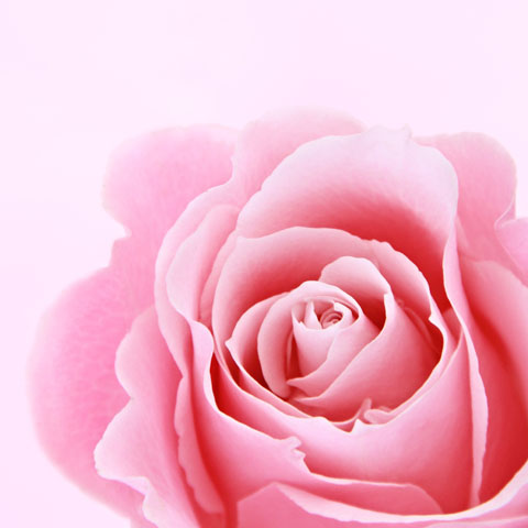 Soul Space - Keeping our Hormones Happy - photo 08