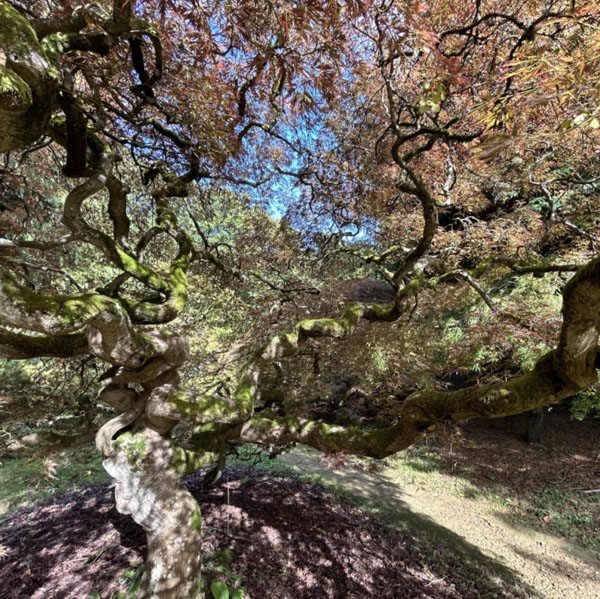 Soul Space - Letting Go - photo 11