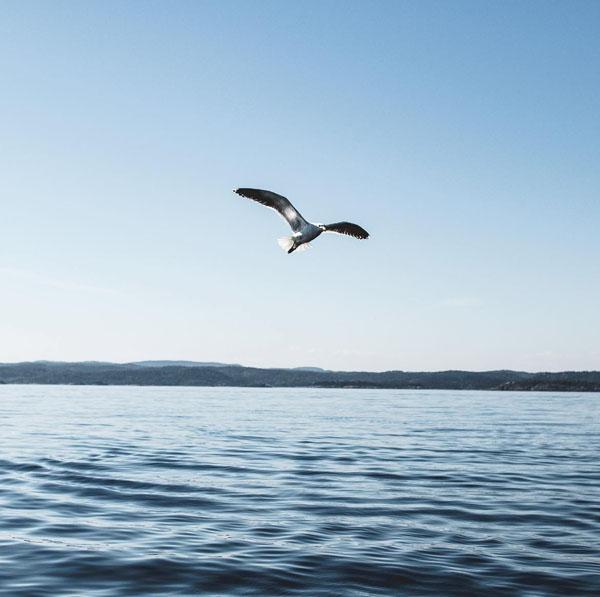 Soul Space - Letting Go - photo 13