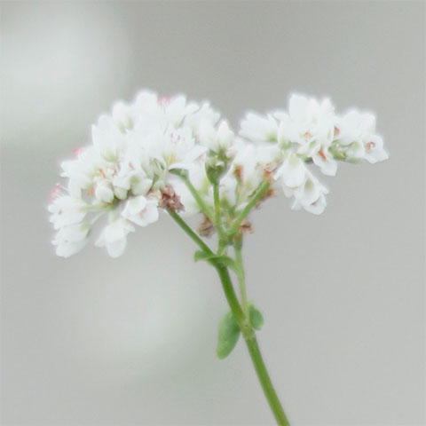 Soul Space - Love the Skin You’re In - photo 03