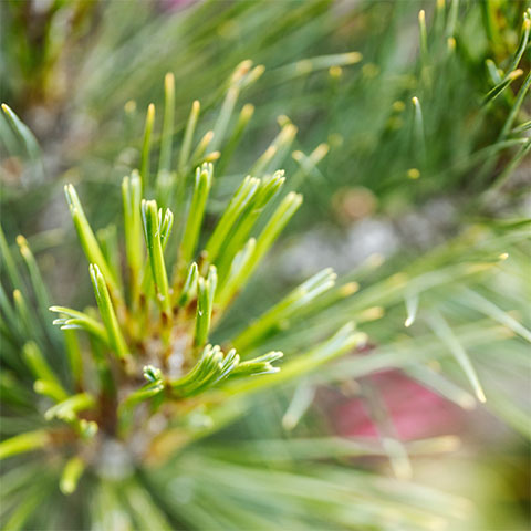 Soul Space - Love the Skin You’re In - photo 03