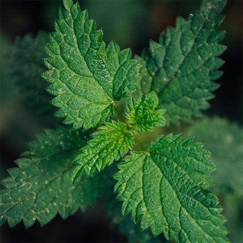 Soul Space - Love the Skin You’re In - photo 04