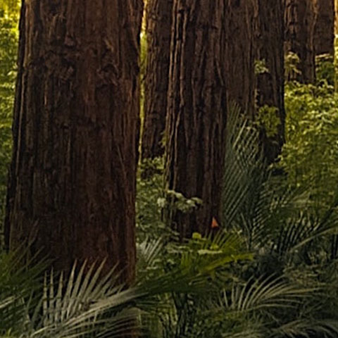 Soul Space - Love the Skin You’re In - photo 05