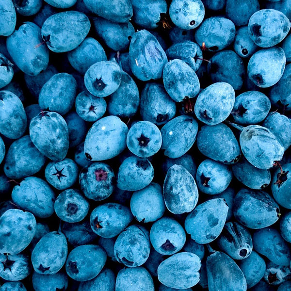 Soul Space - Men’s Health Awareness Month - photo 11