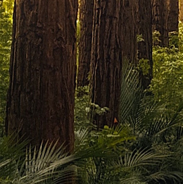 Soul Space - Men’s Health Awareness Month - photo 16