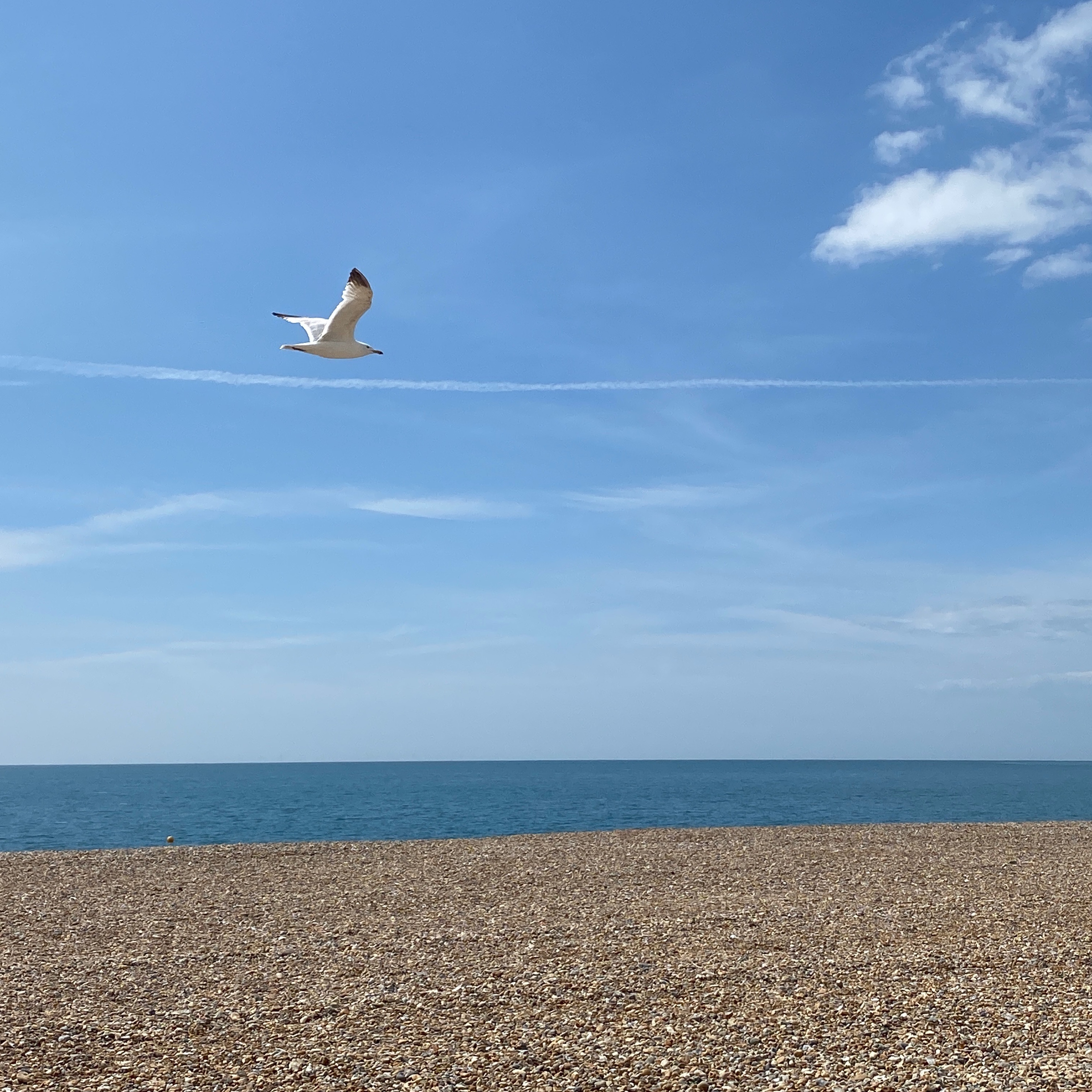 Soul Space - Mental Health Matters! - photo 01