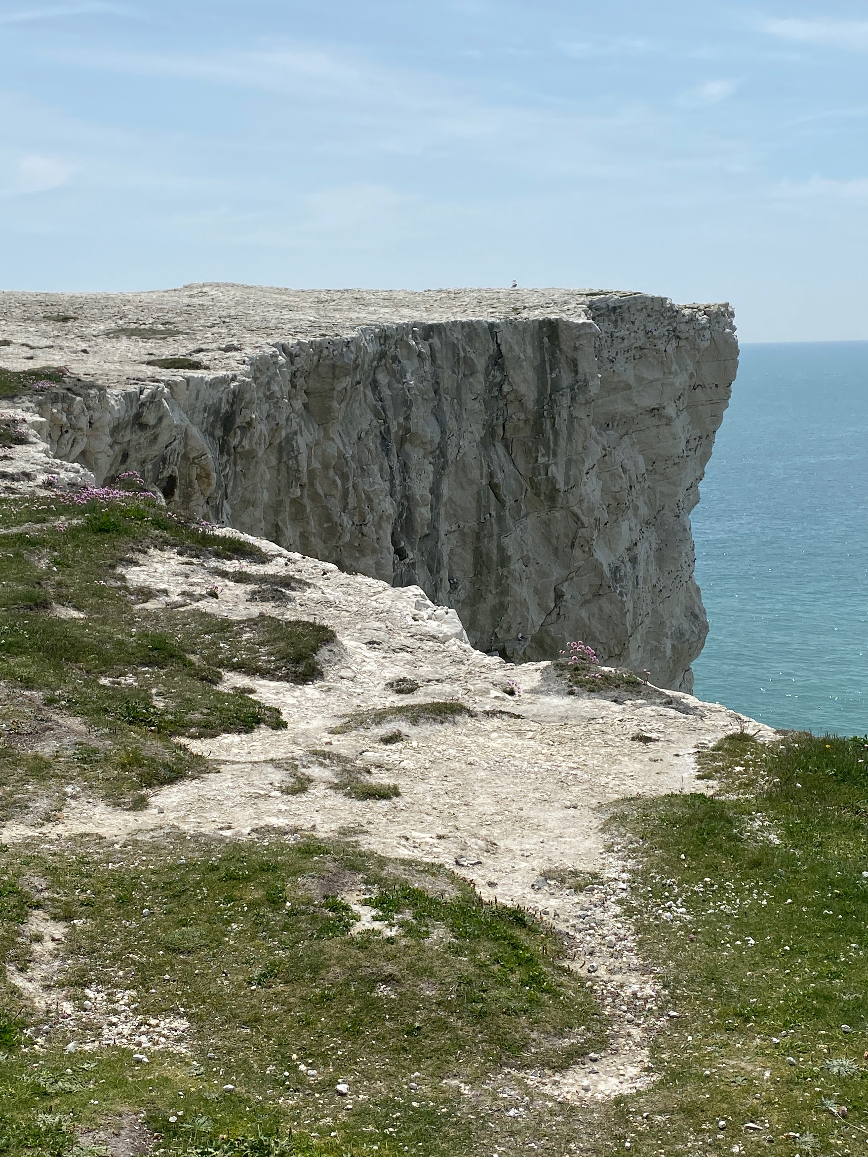 Soul Space - Mental Health Matters! - photo 04