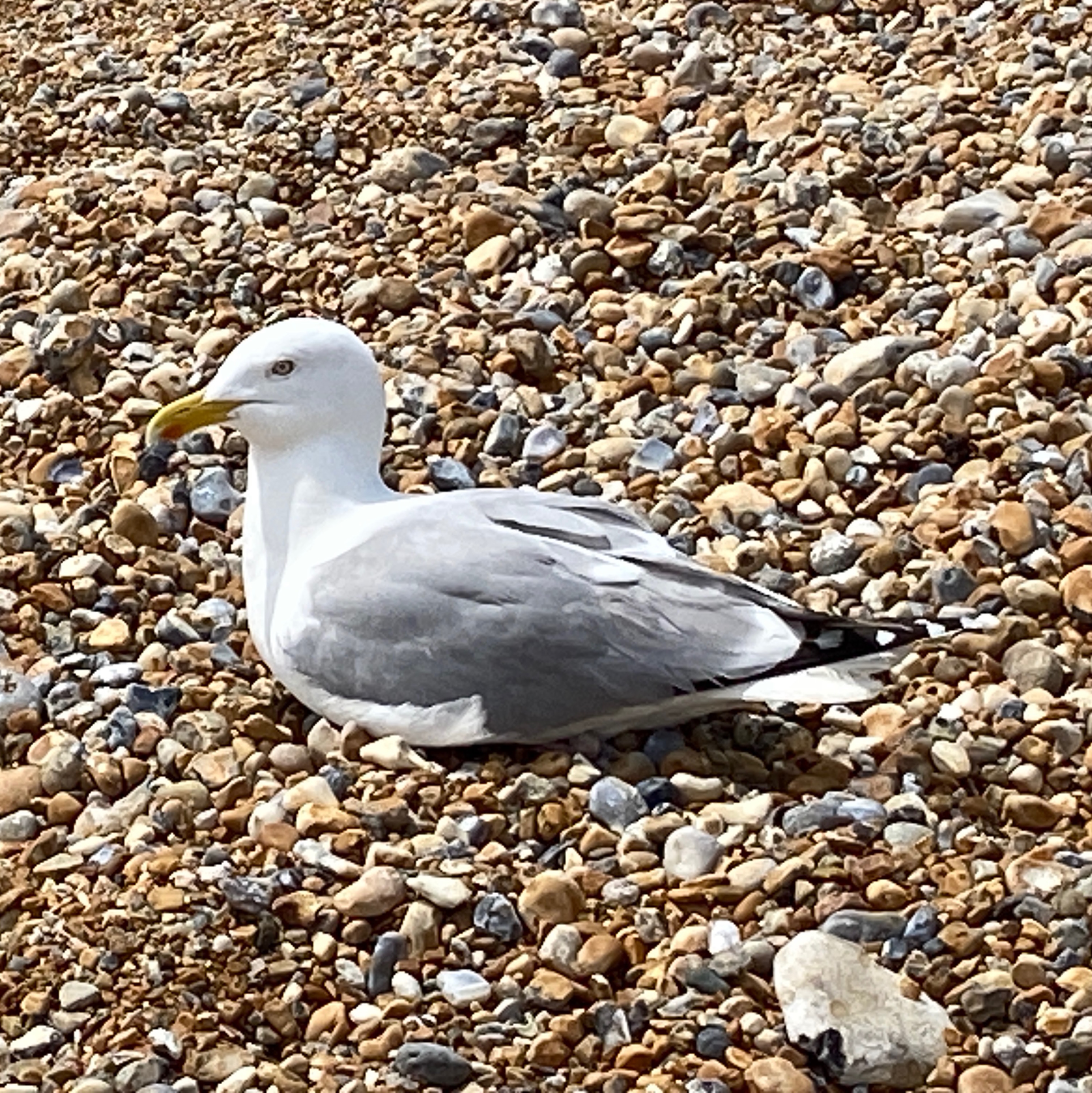 Soul Space - Mental Health Matters! - photo 07