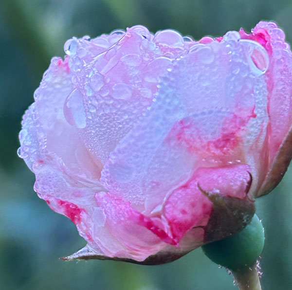 Soul Space - Letting Go - photo 06