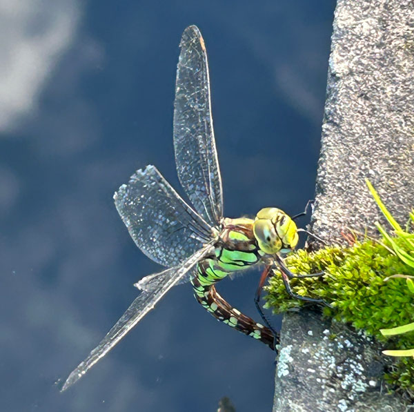 Soul Space - Letting Go - photo 07