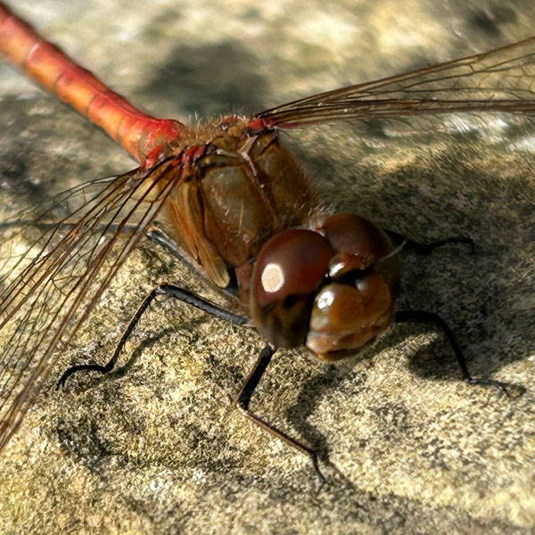 Soul Space - Letting Go - photo 08