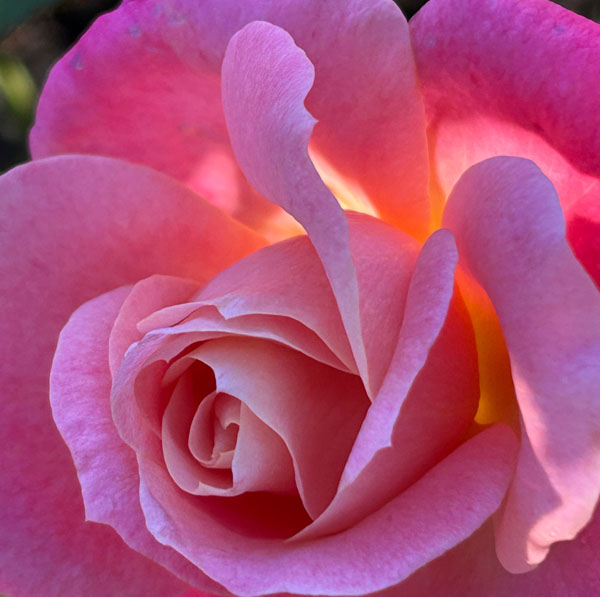 Soul Space - Letting Go - photo 12