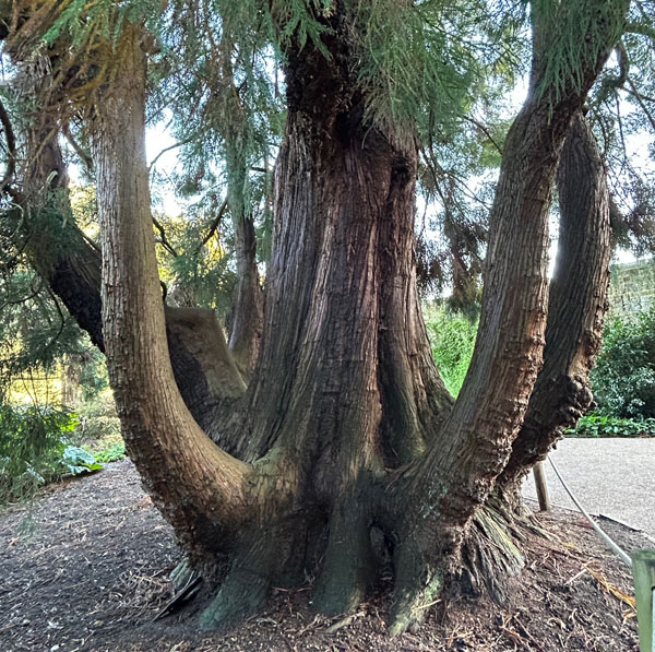 Soul Space - Letting Go - photo 13