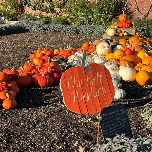 Soul Space - Letting Go - photo 14