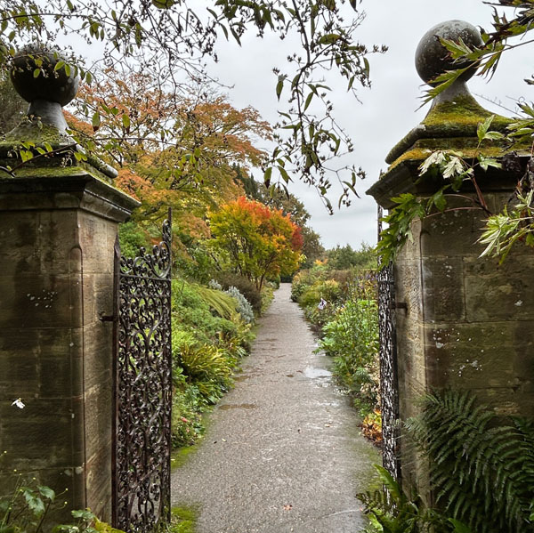 Soul Space - Letting Go - photo 16