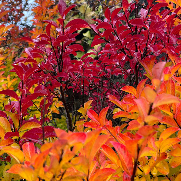 Soul Space - Letting Go - photo 17